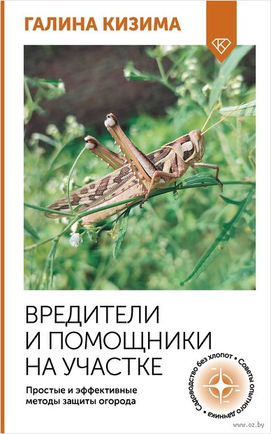 Вредители и помощники на участке. Простые и эффективные методы защиты огорода — фото, картинка