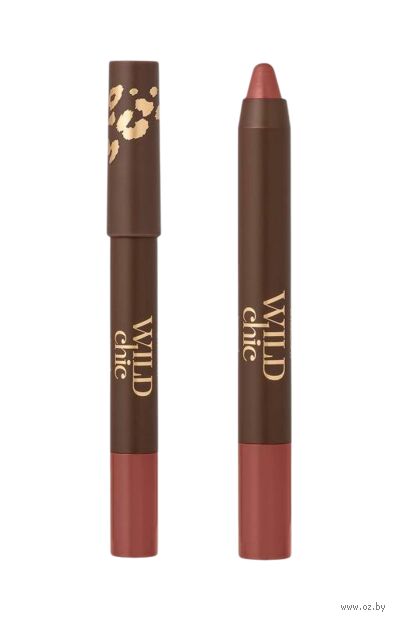Помада для губ "Wild Chic" тон: 01, сливовый розовый — фото, картинка