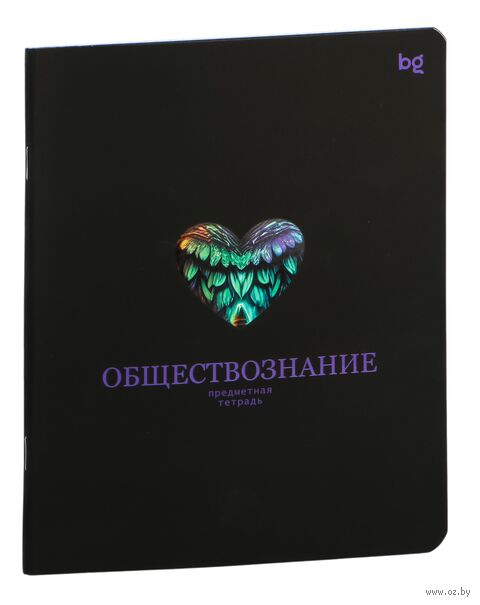 Тетрадь предметная "Информационное поле. Обществознание" (48 листов) — фото, картинка
