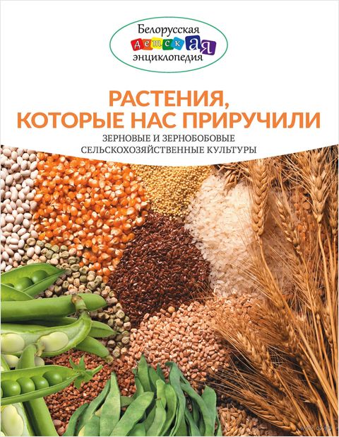 Растения, которые нас приручили. Зерновые и зернобобовые сельскохозяйственные культуры — фото, картинка