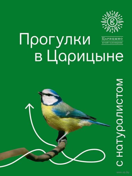 Прогулки в Царицине с натуралистом — фото, картинка