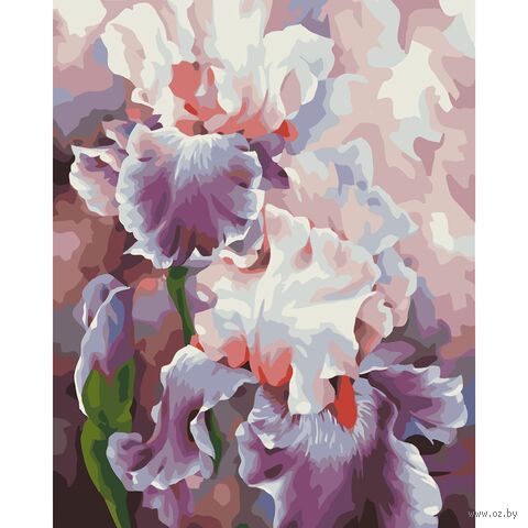 Картина по номерам "Ирисы, абстракция. Марсель Сингатуллин" (400х500 мм) — фото, картинка