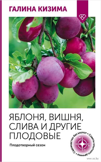 Яблоня, вишня, слива и другие плодовые. Плодотворный сезон — фото, картинка