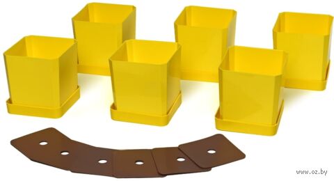 Набор горшков для цветов и рассады с индивидивидуальным поддоном и выдвижным дном (6 шт, желтый) — фото, картинка