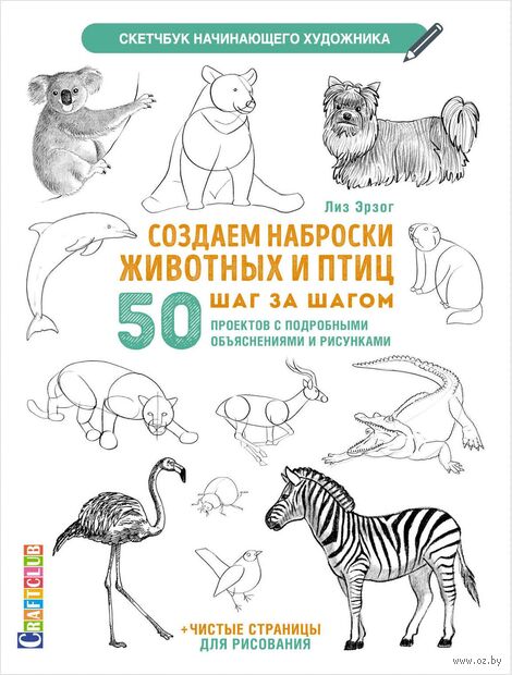 Создаем наброски животных и птиц шаг за шагом — фото, картинка