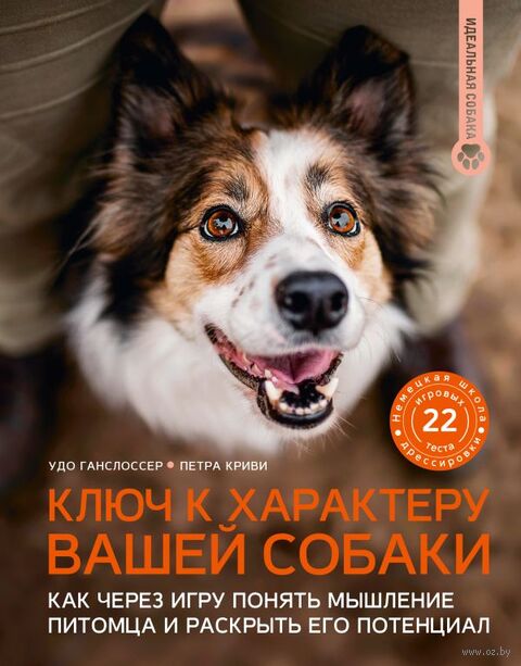 Ключ к характеру вашей собаки — фото, картинка