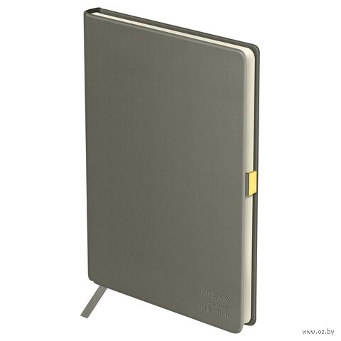 Ежедневник недатированный "Visvim. Grey" (А5) Ежедневник недатированный "Visvim. Grey" (А5) — фото, картинка