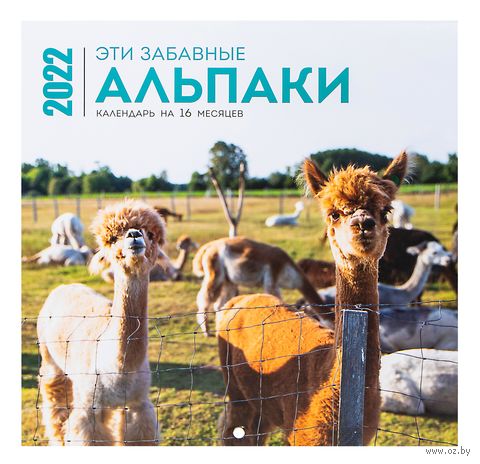 Календарь настенный перекидной на 2022 год "Эти забавные альпаки" (30х30 см) — фото, картинка